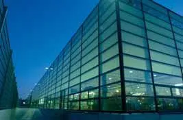 swf-hq.jpg