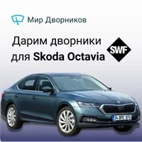Промокод Мир Дворников