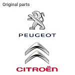Peugeot / Citroen 642345